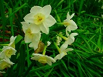 20070309 10.jpg